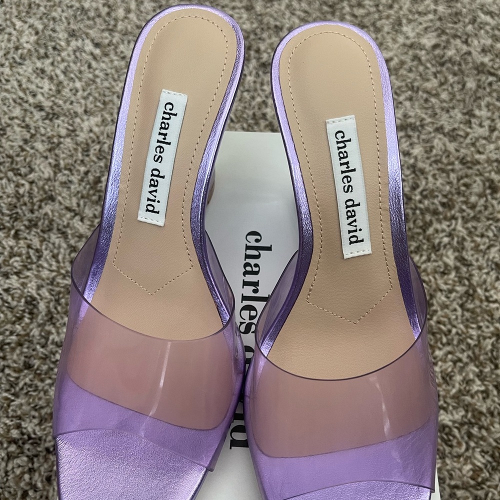 Charles David Lavender Transparent Mules